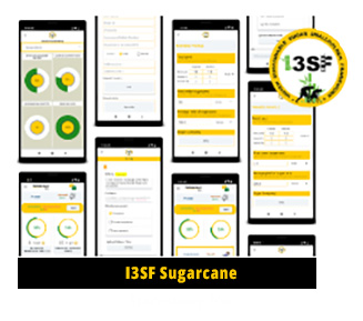 i3sf-sugarcane